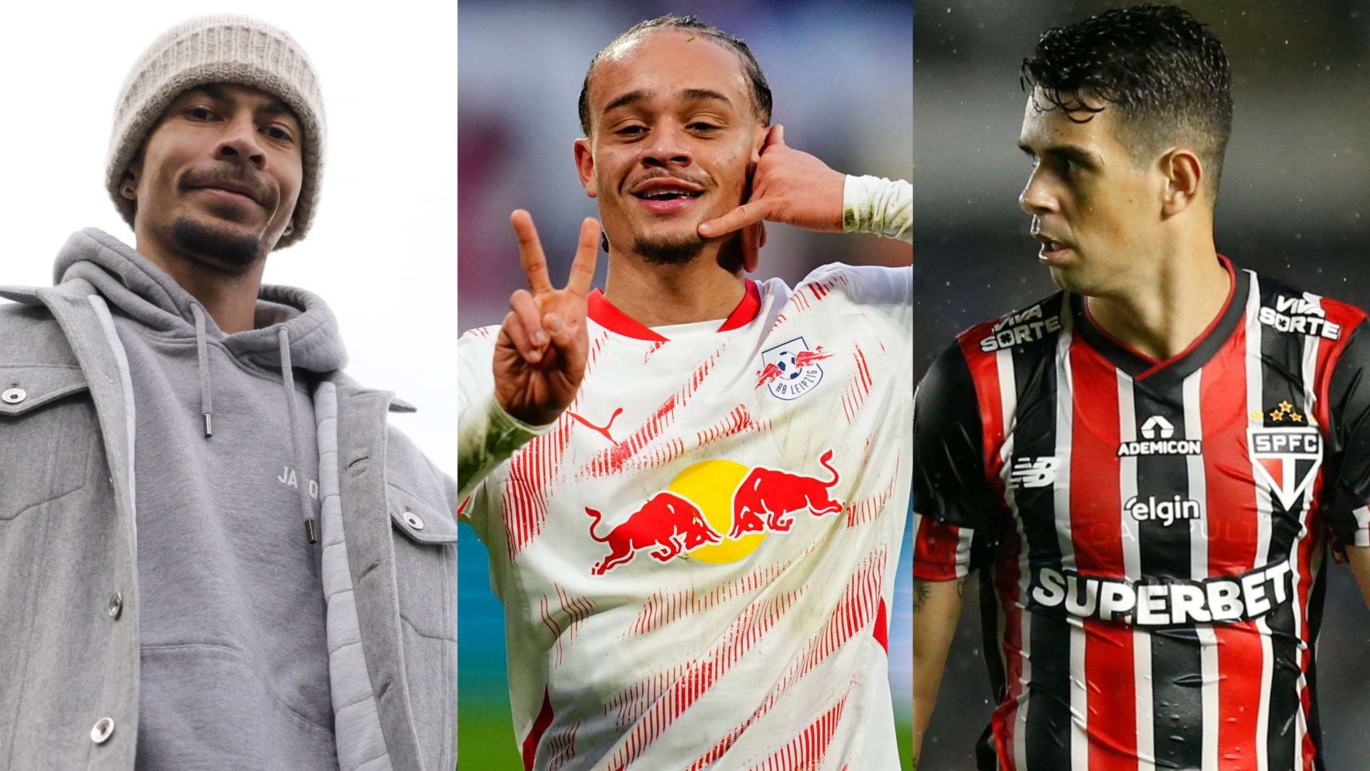 他们以整体 他们以整体