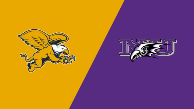 素质和技术 素质和技术